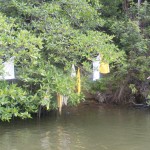 DSCF0037